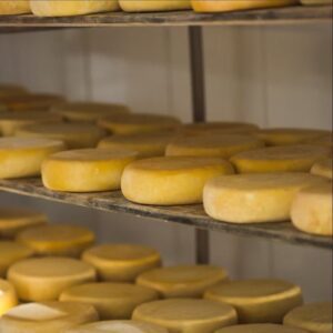 Queijo Minas Artesanal no Campo das Vertentes